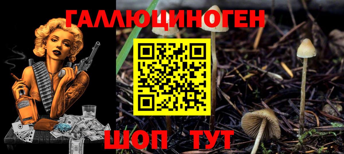 Галлюциногенные грибы прущие грибы  Вход с VPN  Ярославль  Псилоцибиновые грибы Magic Shrooms 