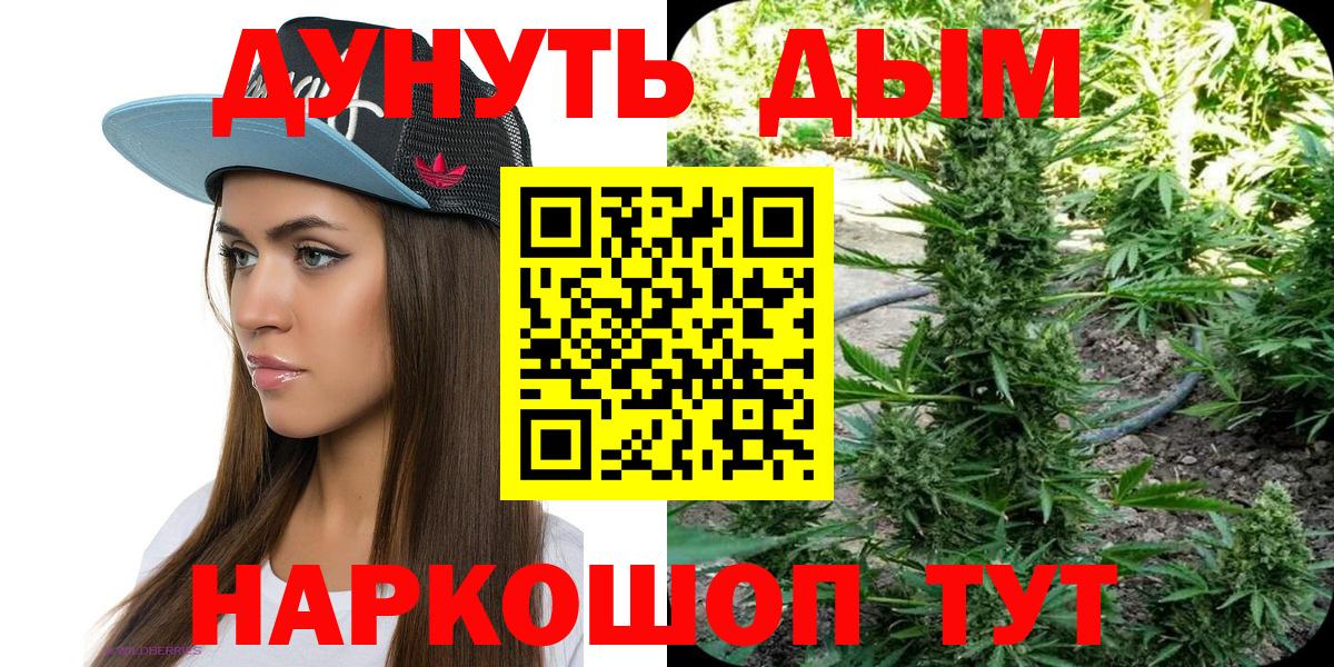 Бошки Шишки конопля  Вход с VPN  Конопля OG Kush  Ярославль 